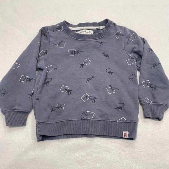 Sovereign Code Baby Boy Dinosaur Print Sweatshirt 24 Months Infant Gray Pullover - Picture 2 of 7